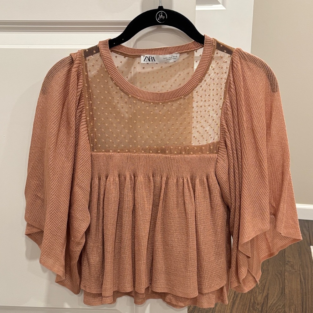 Zara Women's Blush Sheer Blouse